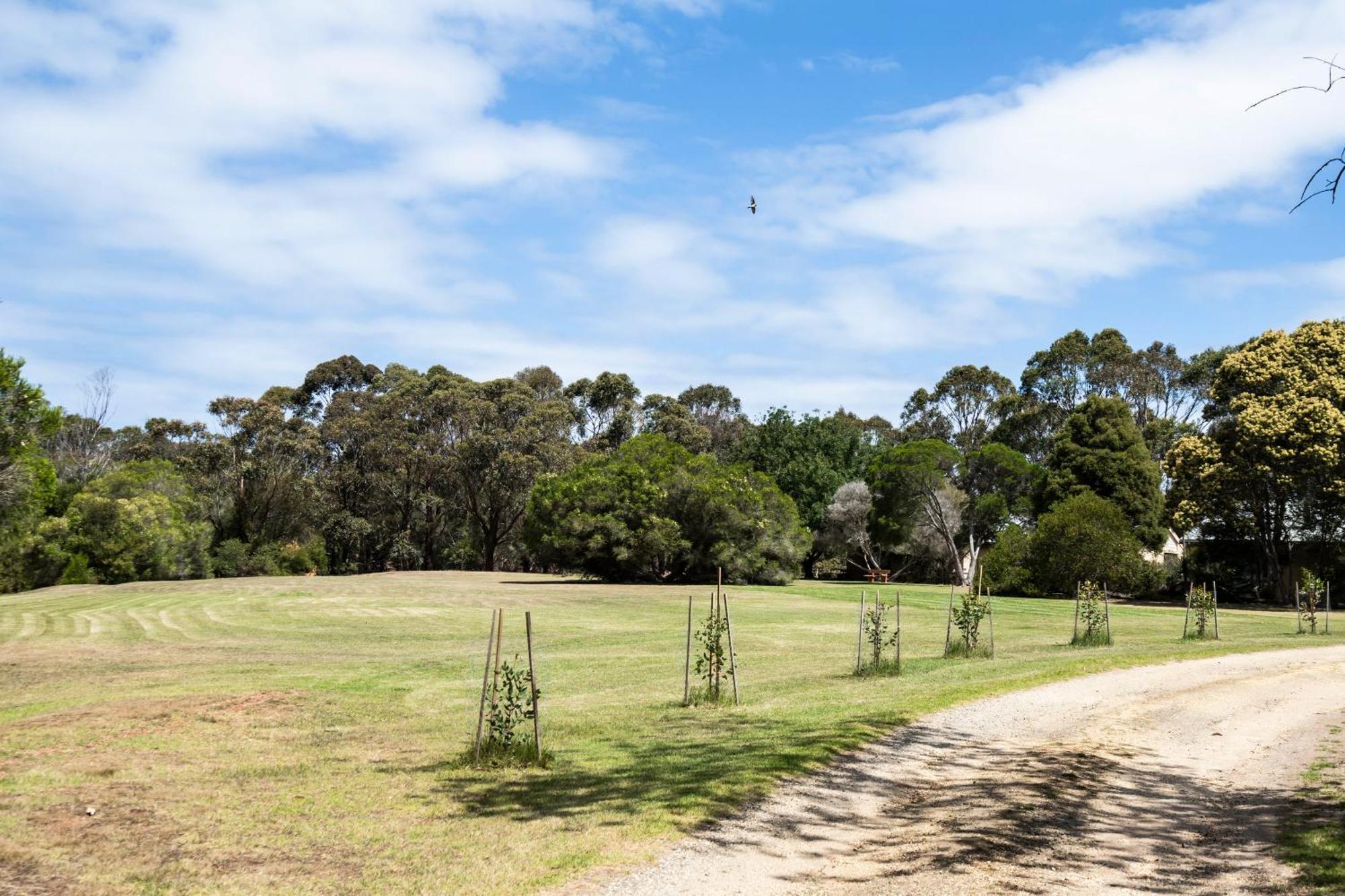 Bells Beach Cottages Bellbrae Exterior foto